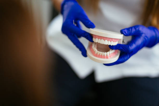 Why Choose Us for Your Dental Needs in Larose, LA